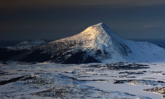 粉象生活真的总部薇fxsh33