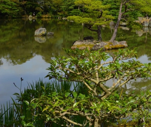 推荐粉象生活app