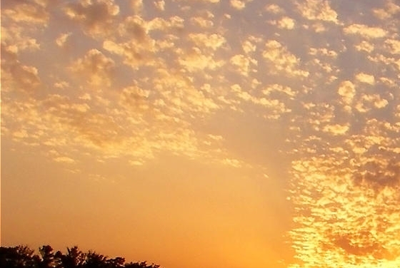 粉象生活怎么赚钱