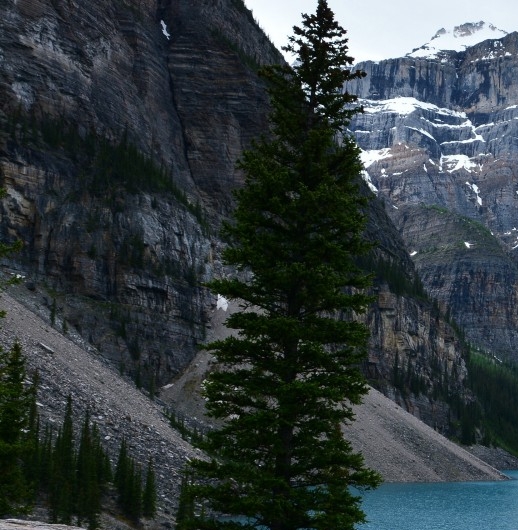 粉象生活下载app