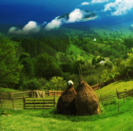 粉象生活怎么登录