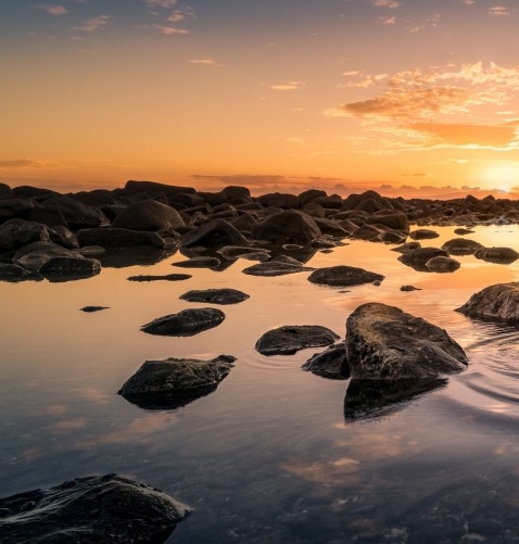 粉象生活最大团队