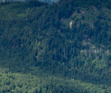 粉象生活APP361156