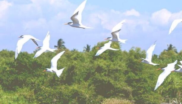 粉象生活怎么填写邀请码