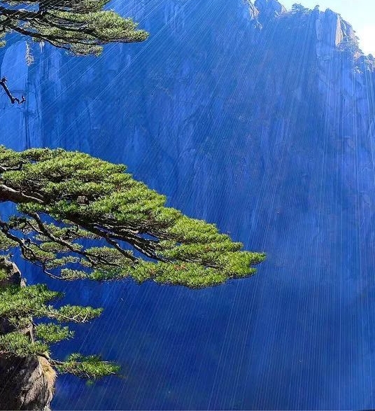 粉象生活是干嘛的