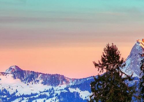 粉象生活app怎么开通粉象生活