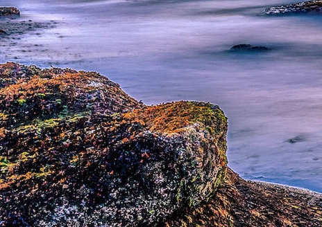 粉象生活淘宝怎么授权不了