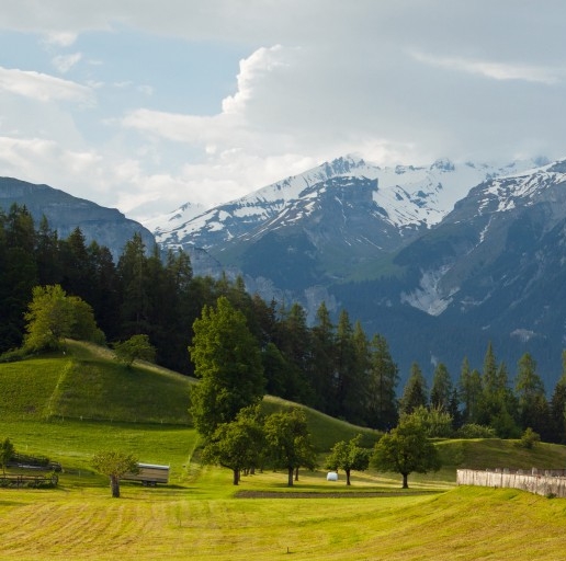 哈尔滨粉象生活注册