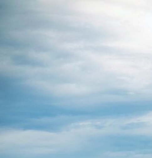 粉象生活是什么样的平台