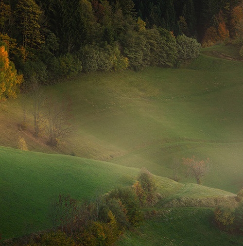 抚州粉象生活app