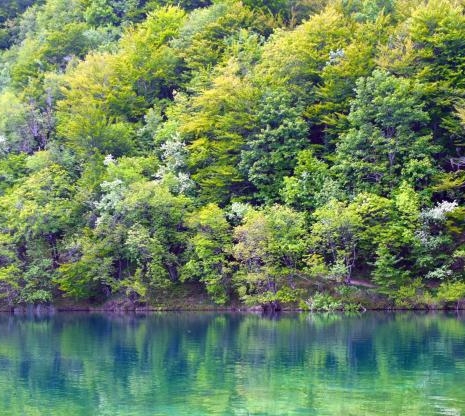 粉象生活能赚到钱吗