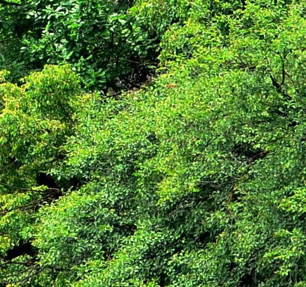 粉象生活邀请码