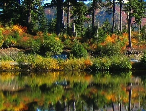 注册粉象生活有风险吗