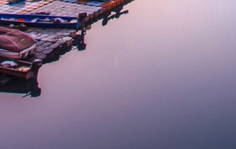 粉象生活邀请码