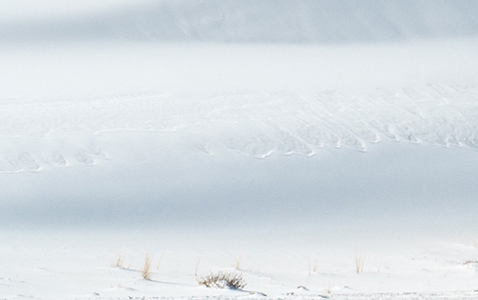 粉象生活邀请码可以改吗