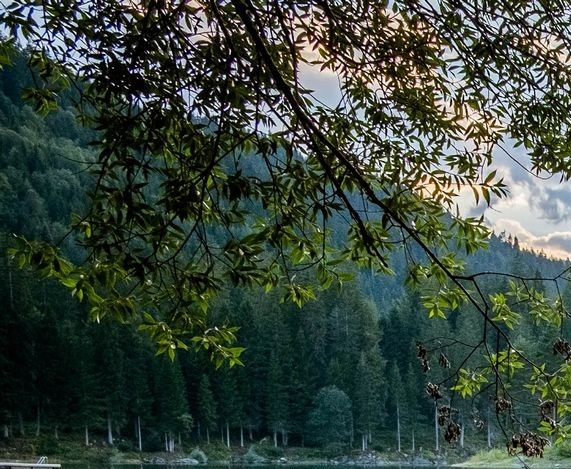 粉象生活推广人怎么发视频