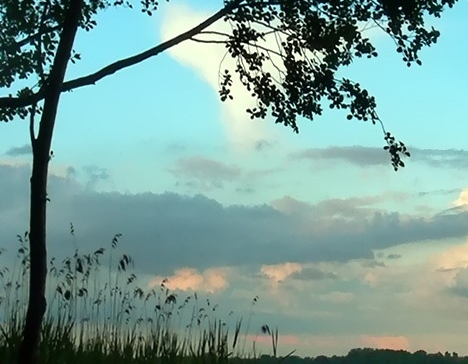 粉象生活拉不到人能赚佣金吗