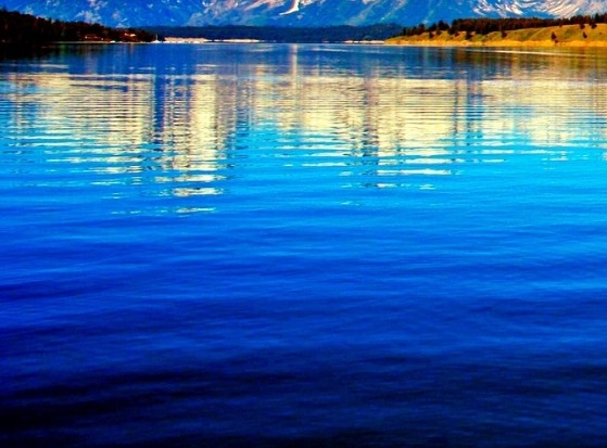 淘粉网粉象生活