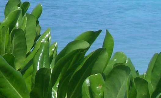 粉象生活好友邀请码在哪里