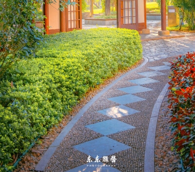 太原粉象生活