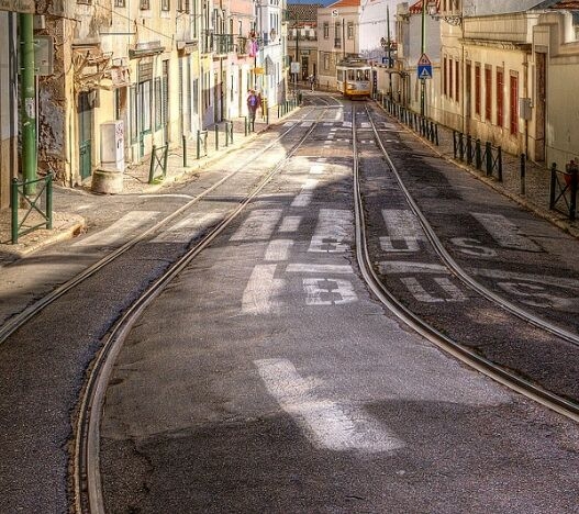 神象三七粉哪里产地好