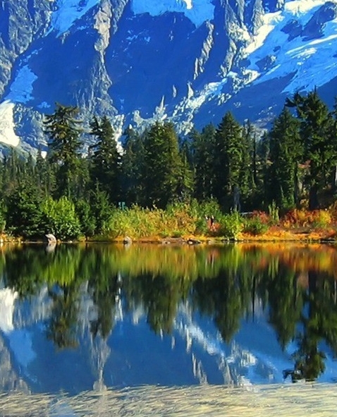 粉象生活是什么?