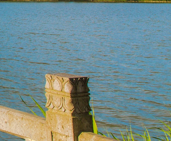 粉象生活APP怎么赚钱