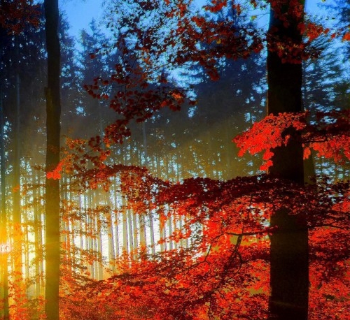 粉象生活有哪些值得推广的