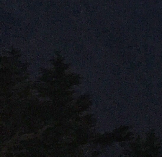 粉象生活能赚到钱吗