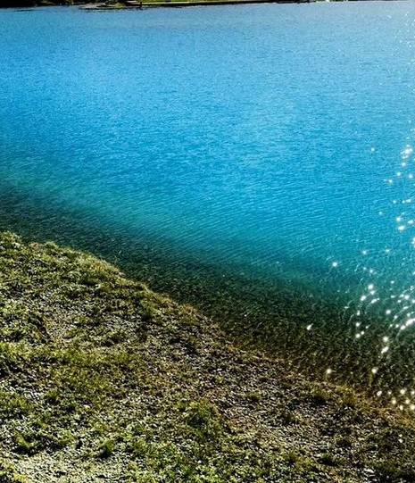 粉象生活怎么注册