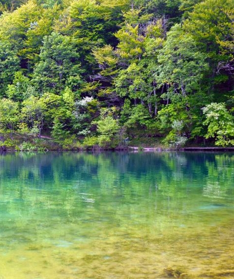 如何加入粉象生活推广