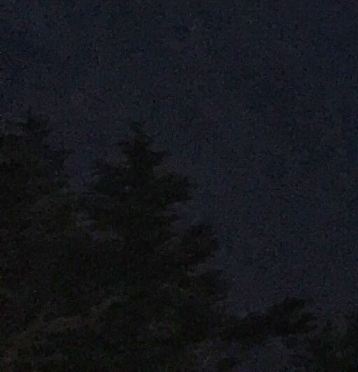 粉象生活app