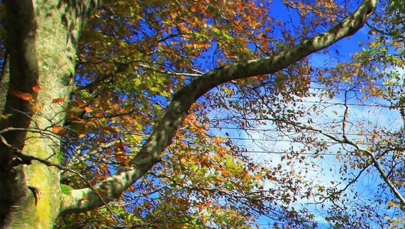 粉象生活上怎么注册