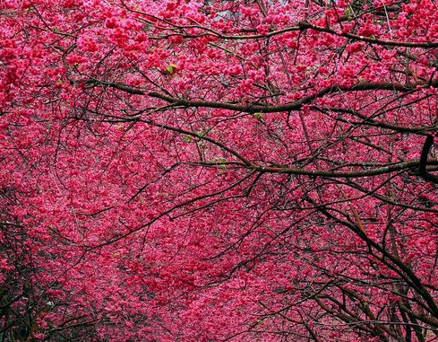 粉象生活能赚到钱吗