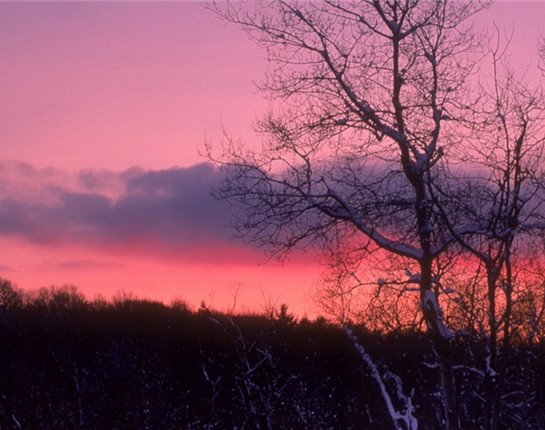 分享粉象生活app