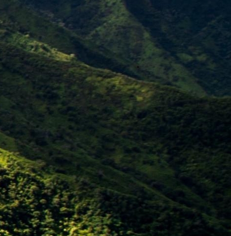 粉象生活免费邀请码怎么填