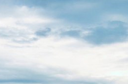 粉象生活无邀请码注册