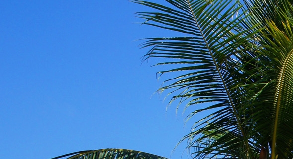 粉象生活推广一个人赚多少钱