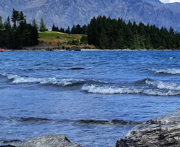 粉象生活邀请码