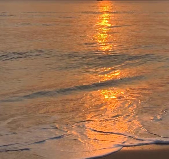 粉象生活软件邀请能挣钱吗