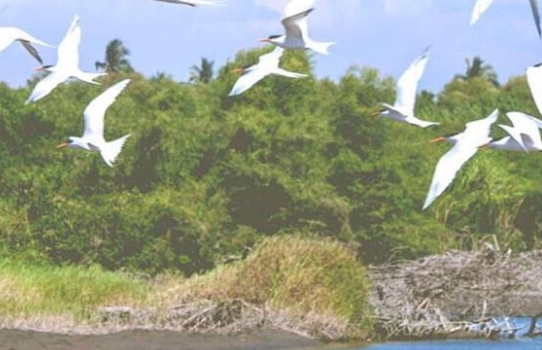 怎么更换粉象生活邀请人