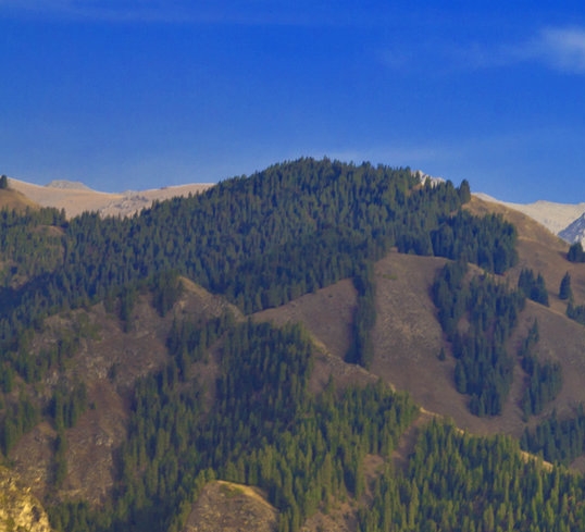 粉象生活新手注册入口