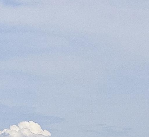 粉象生活下载app