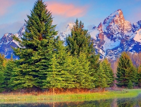 粉象生活宝妈如何挣钱