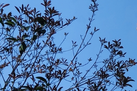 电商粉象生活是什么