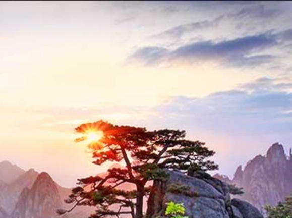 粉象生活怎么赚钱