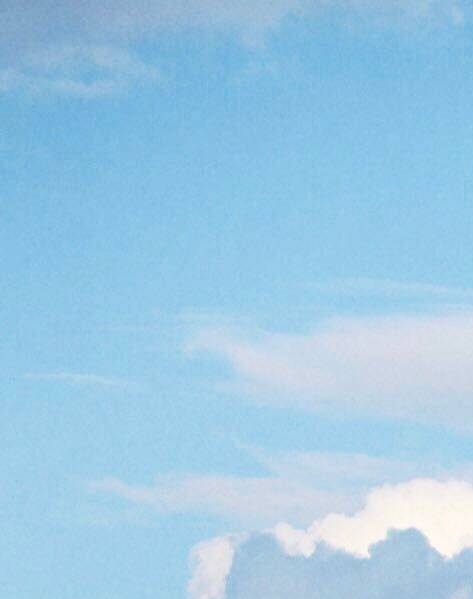 粉象生活
