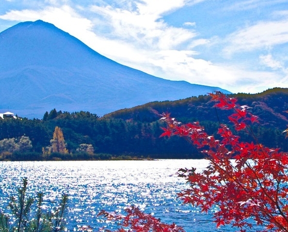 粉象生活下载app