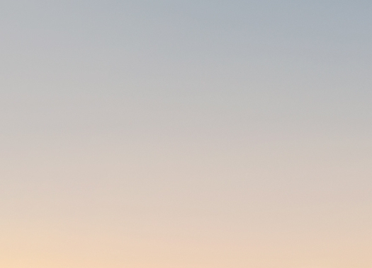 湛江粉象生活积分