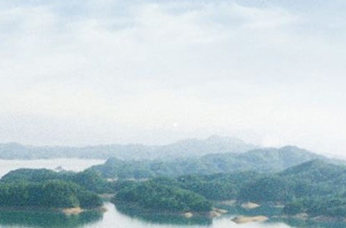 粉象生活团队怎么运营